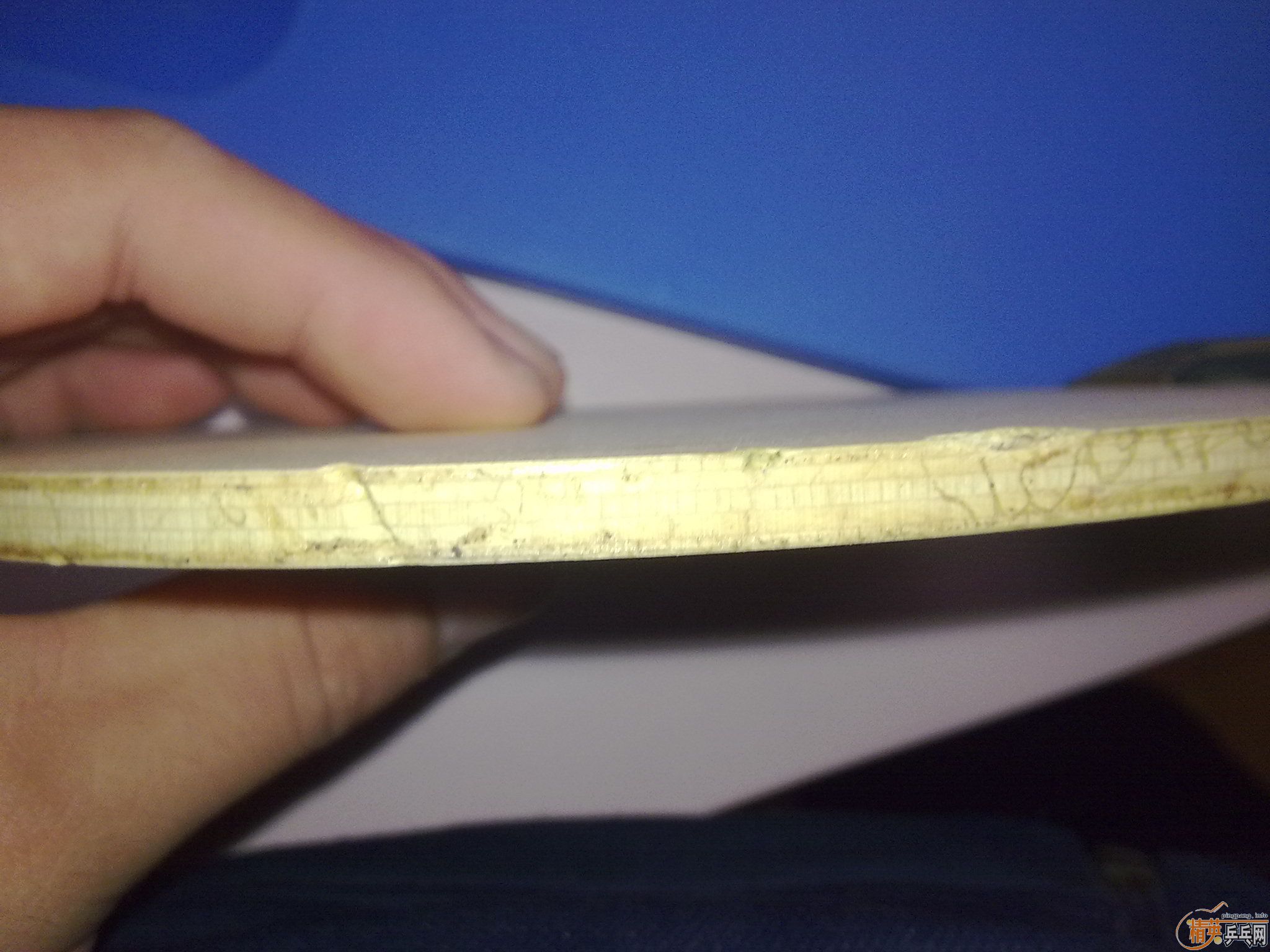 SEPTEAR 300�����