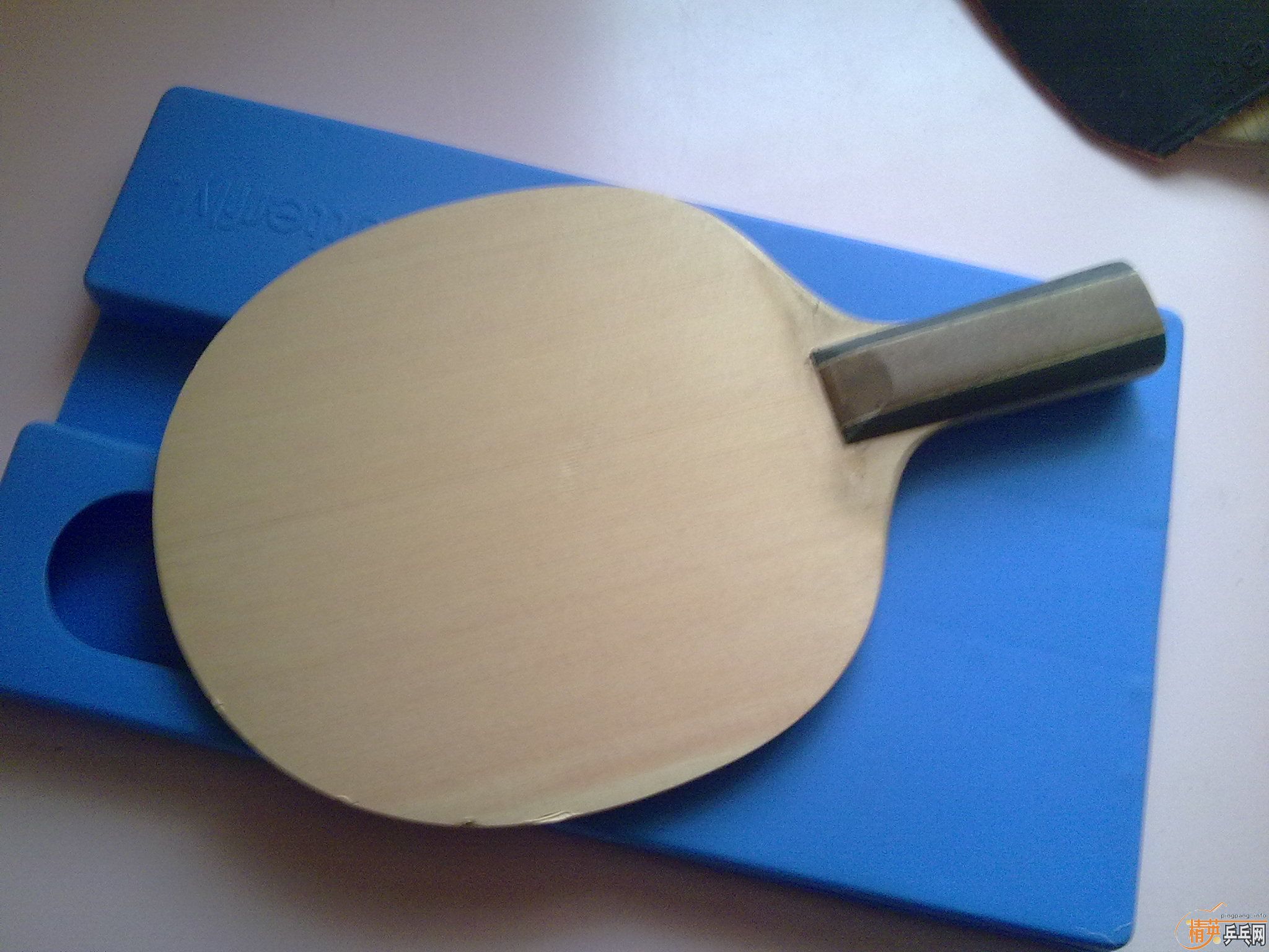 SEPTEAR 300�����