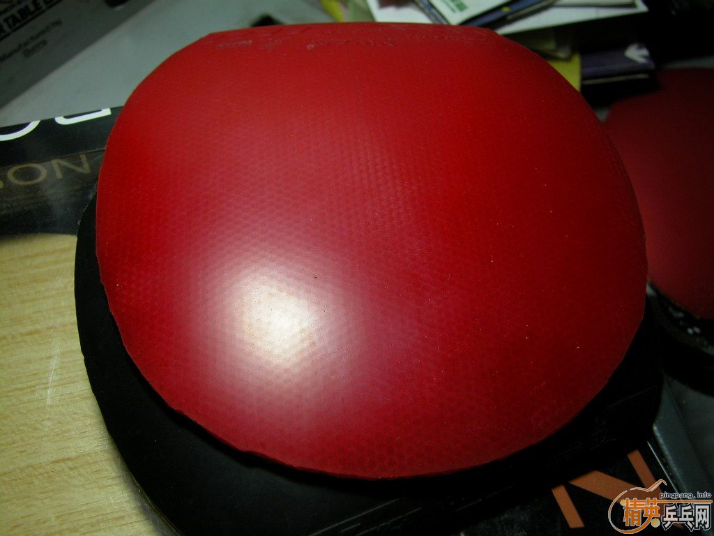 �����Ž�Ƥ���д�ͣ��������˿���к�����ʨ��ͷ������������