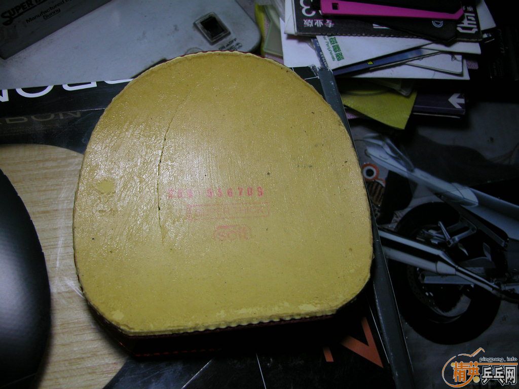 �����Ž�Ƥ���д�ͣ��������˿���к�����ʨ��ͷ������������