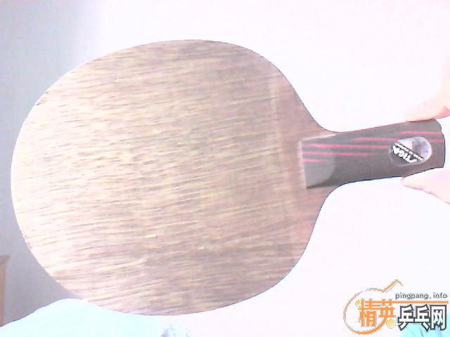 ���˳��Ϻ��7.6����