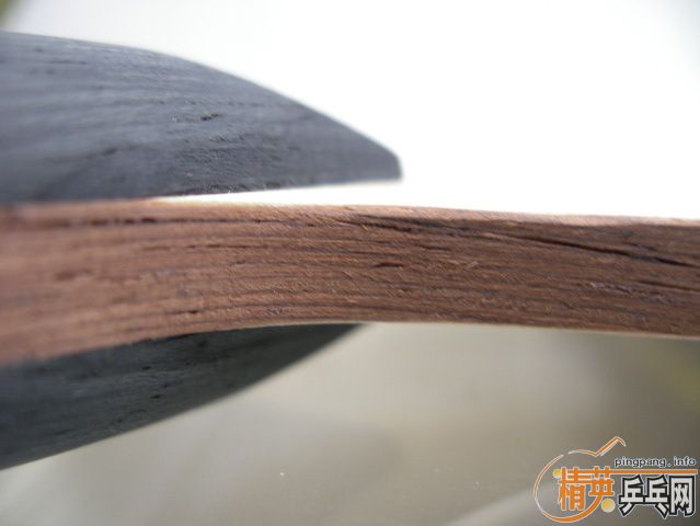 £ Kinetic Supreme Zylon / Kiso Hinoki Դи֮һ.