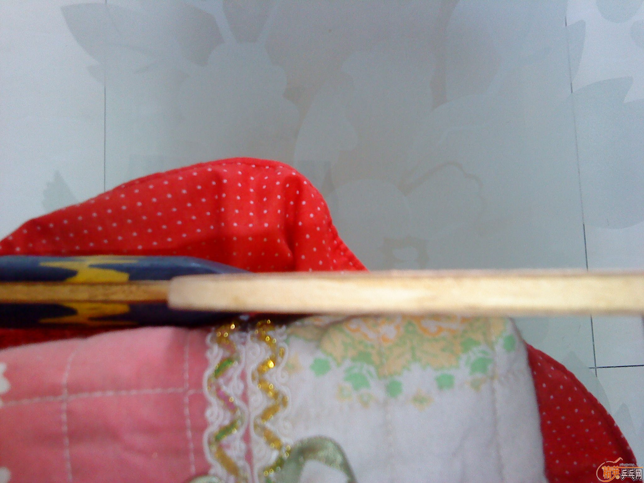 ���˳���ľ����������W6