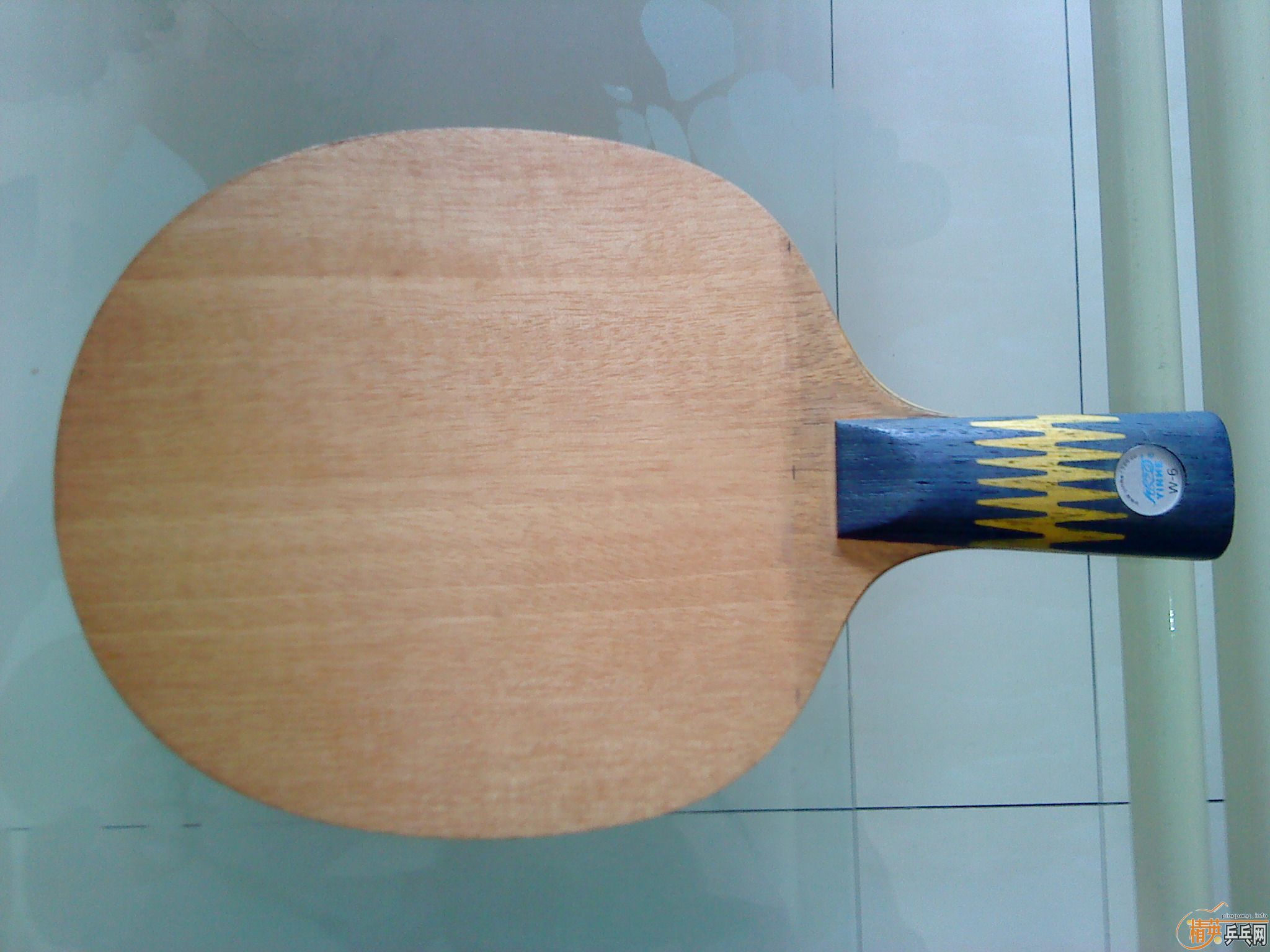 ���˳���ľ����������W6