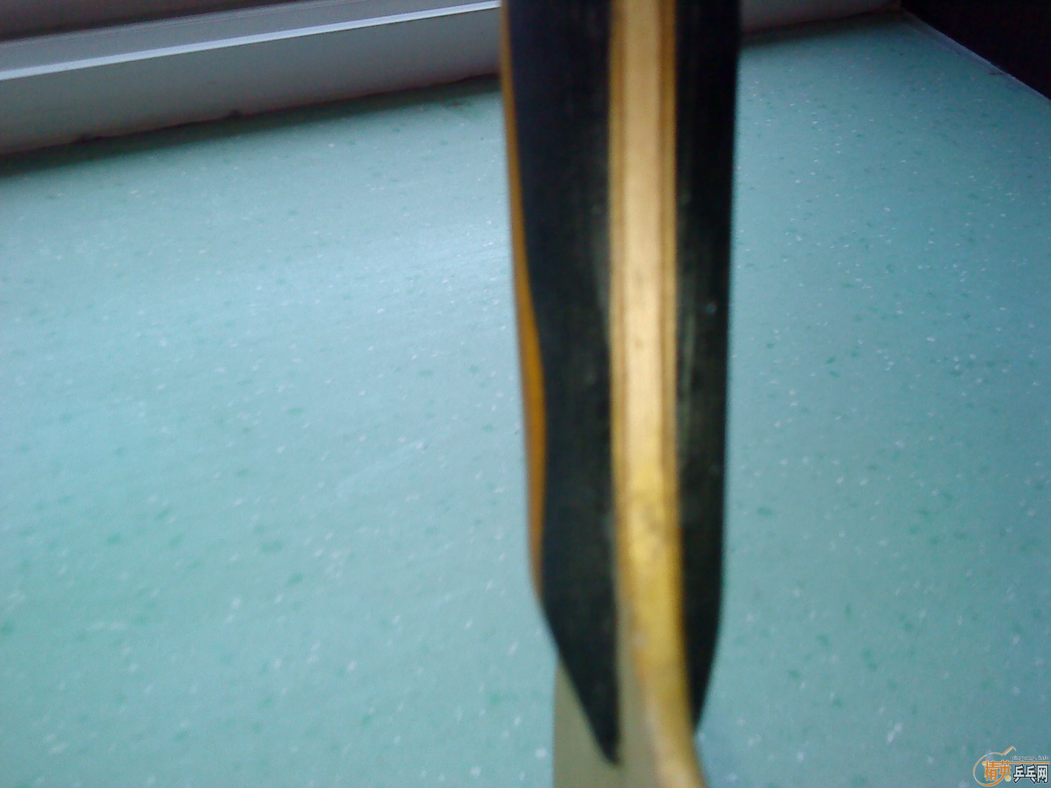 ���˳���ľ����������W6