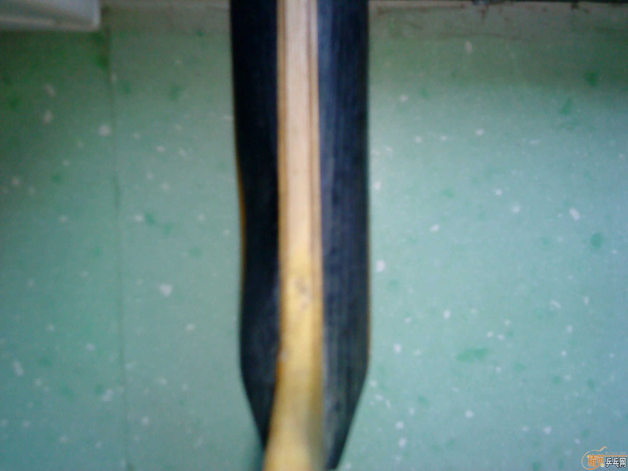 ���˳���ľ����������W6