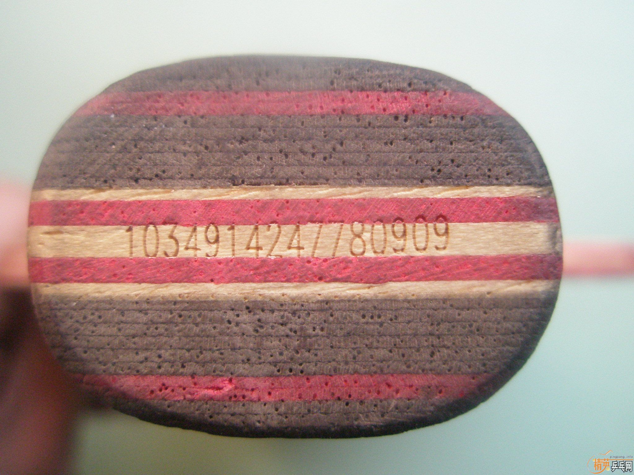 ֧�����л��ạ̃���򣭣���⣨��������