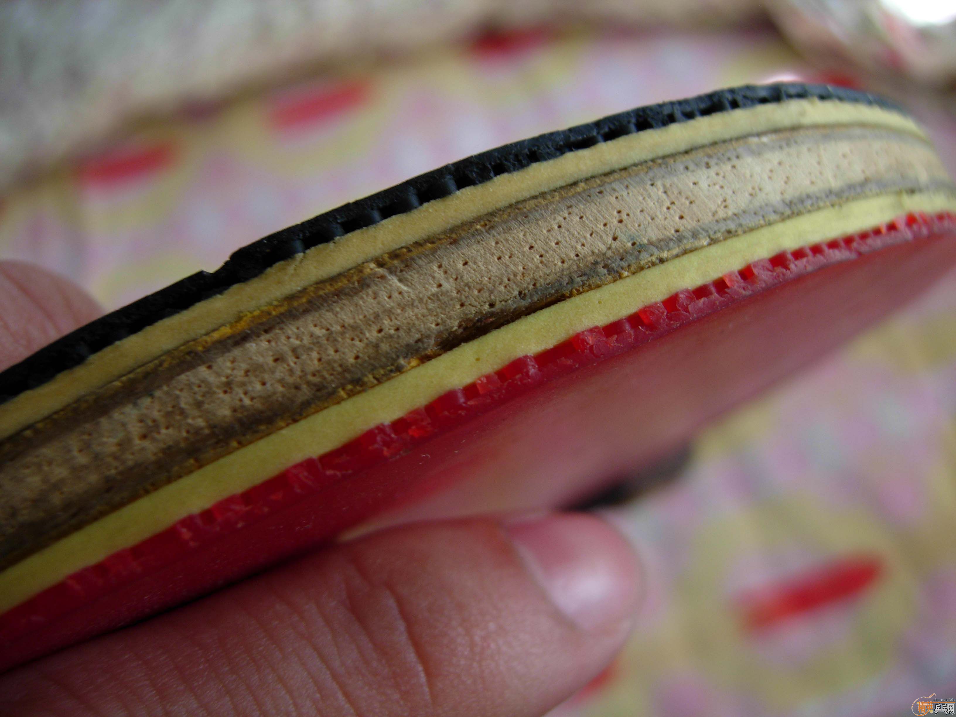 ����̼������k5