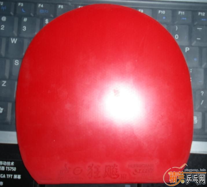 ����Ʒ�಻��������E1��һЩ��Ƥ