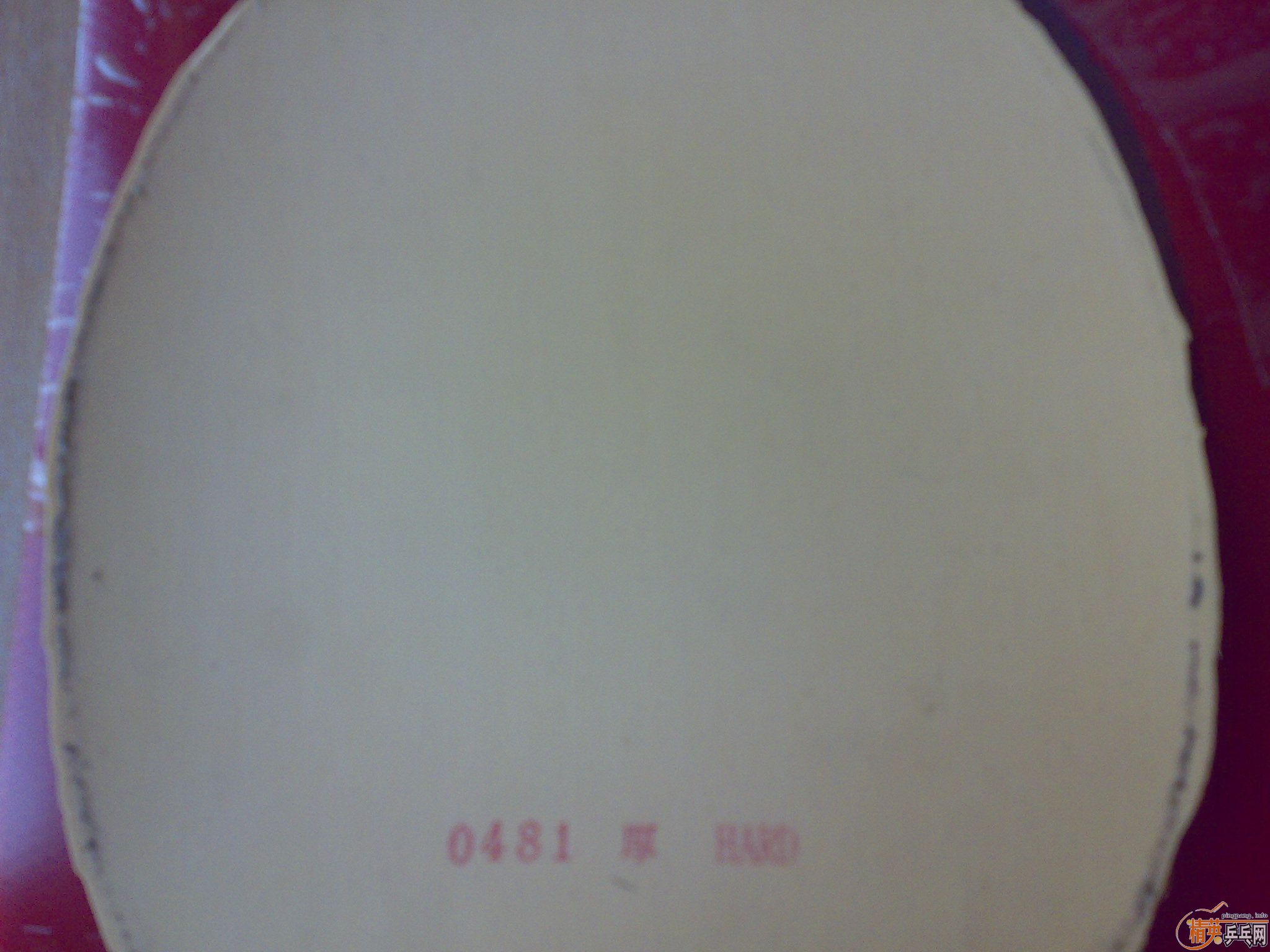 9.8���׽���