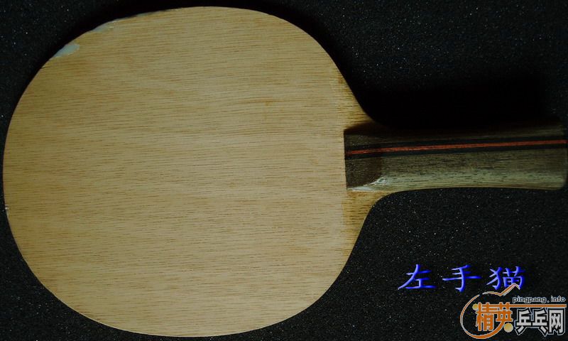 ȫ�����գ�����������ŵ����˦�ˣ�