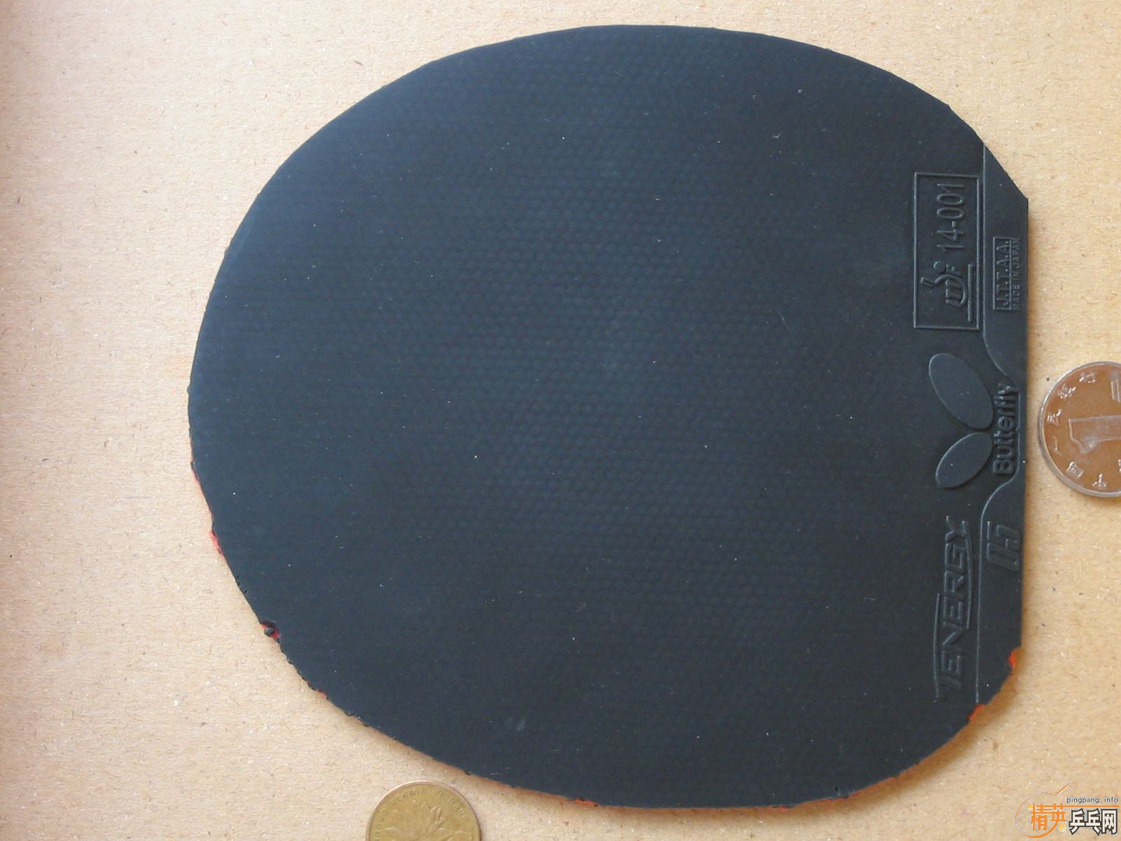 ����T05\G2\sriverFX\solcion�����F1����������