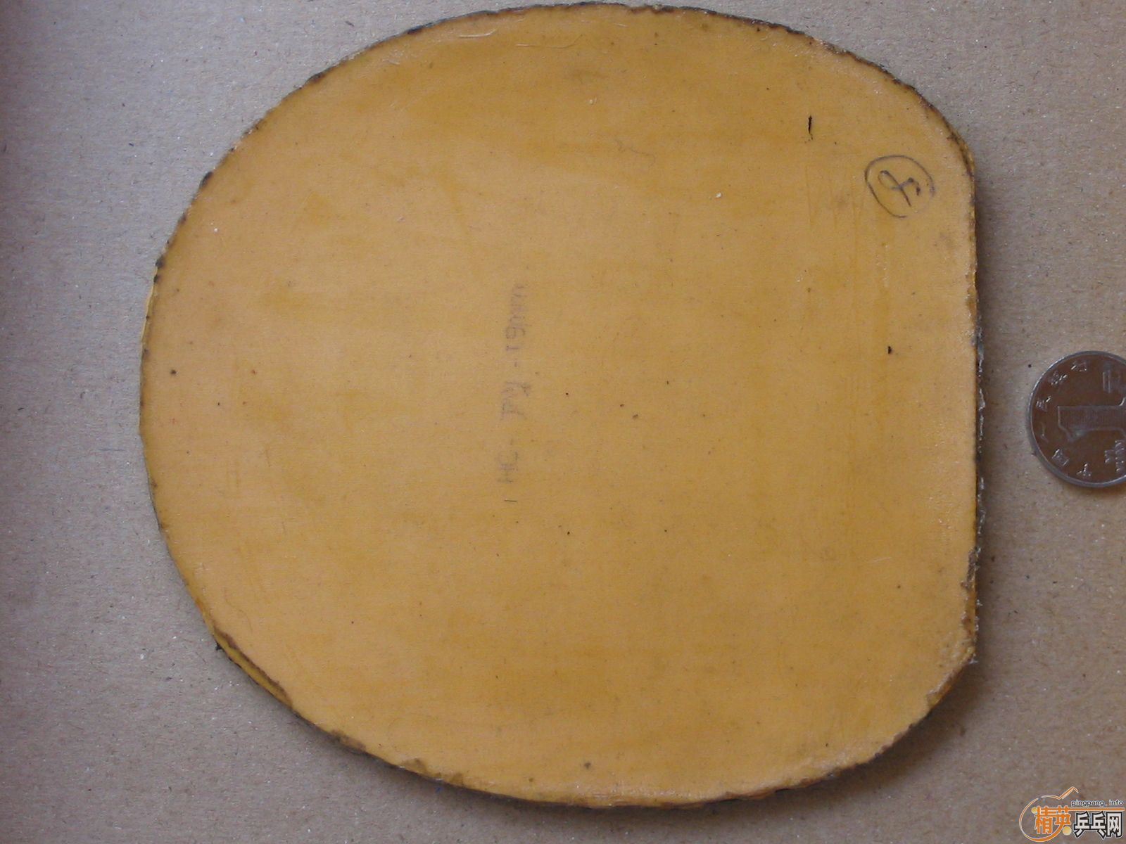 ����T05\G2\sriverFX\solcion�����F1����������