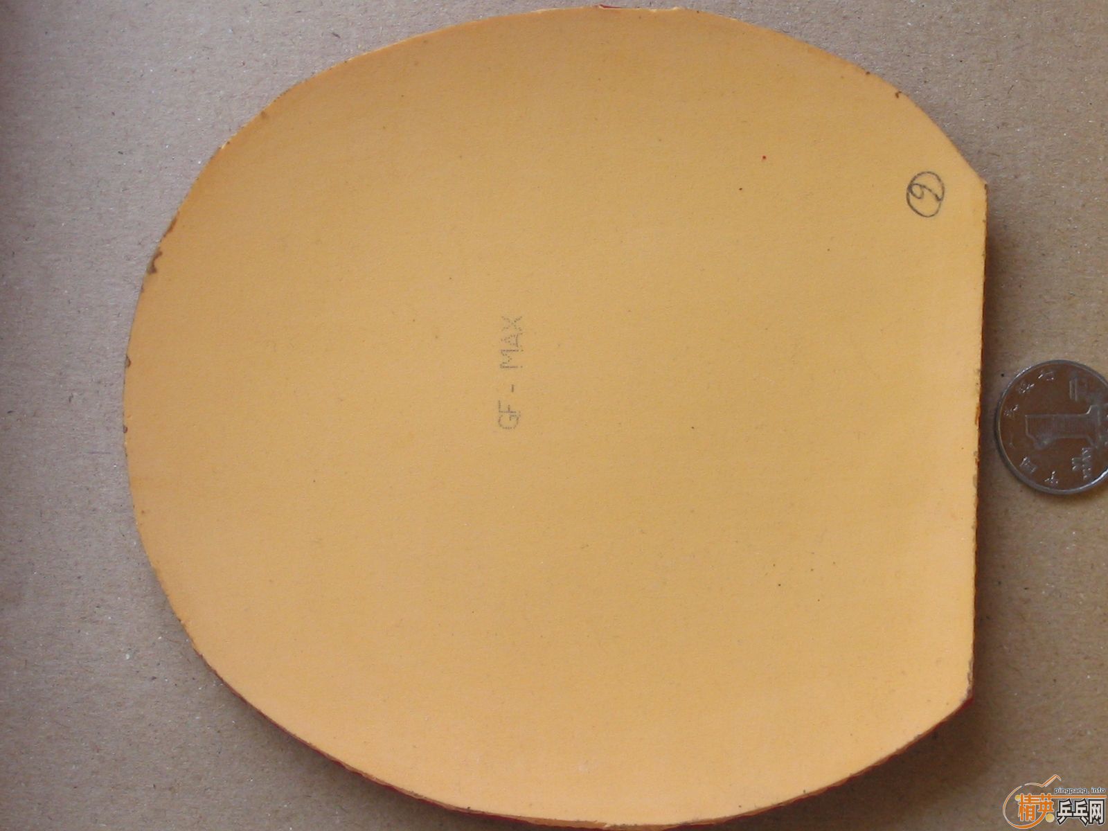 ����T05\G2\sriverFX\solcion�����F1����������