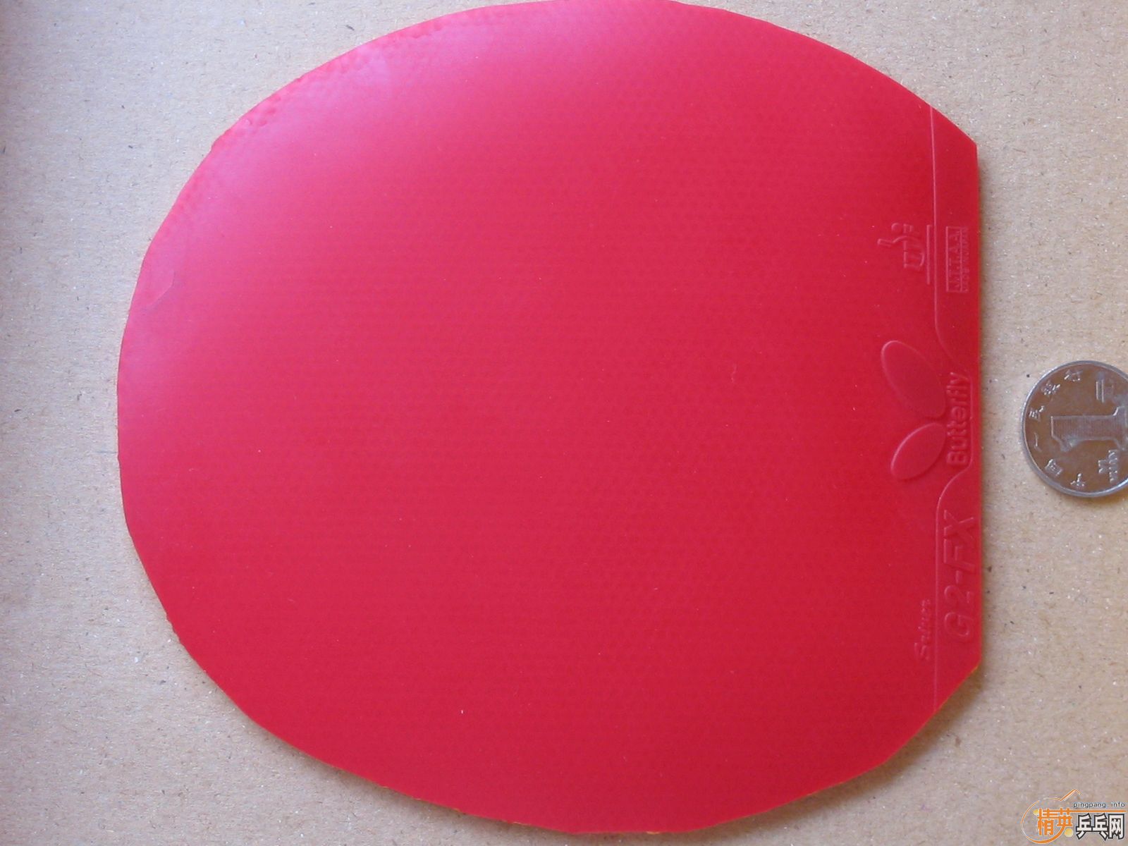 ����T05\G2\sriverFX\solcion�����F1����������