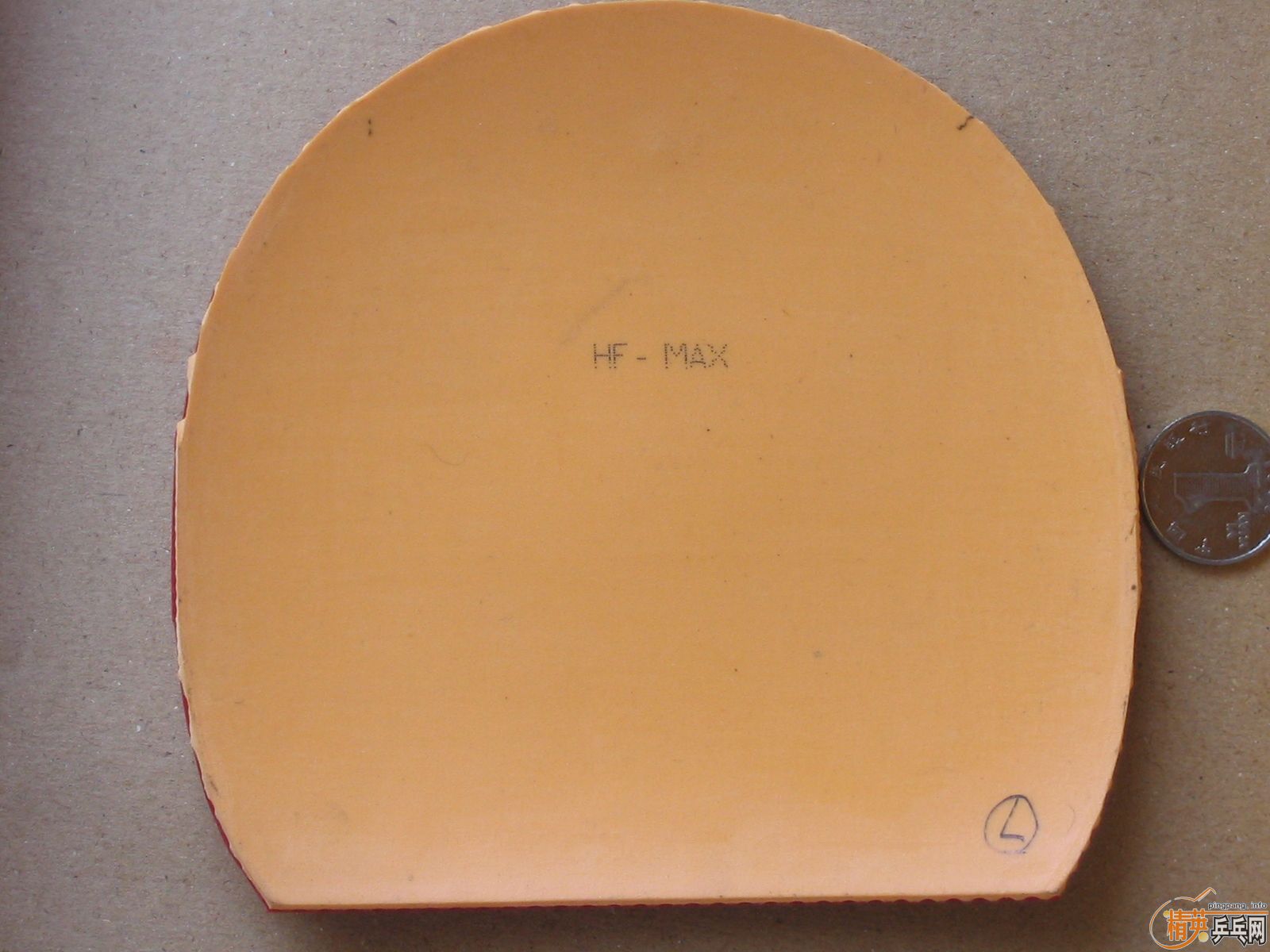 ����T05\G2\sriverFX\solcion�����F1����������