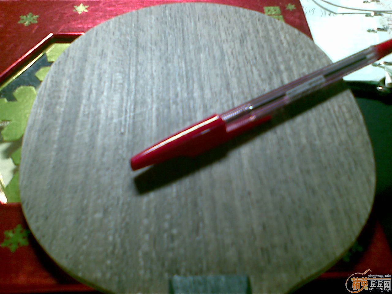 06ֱ����  һֻ,  560 ����