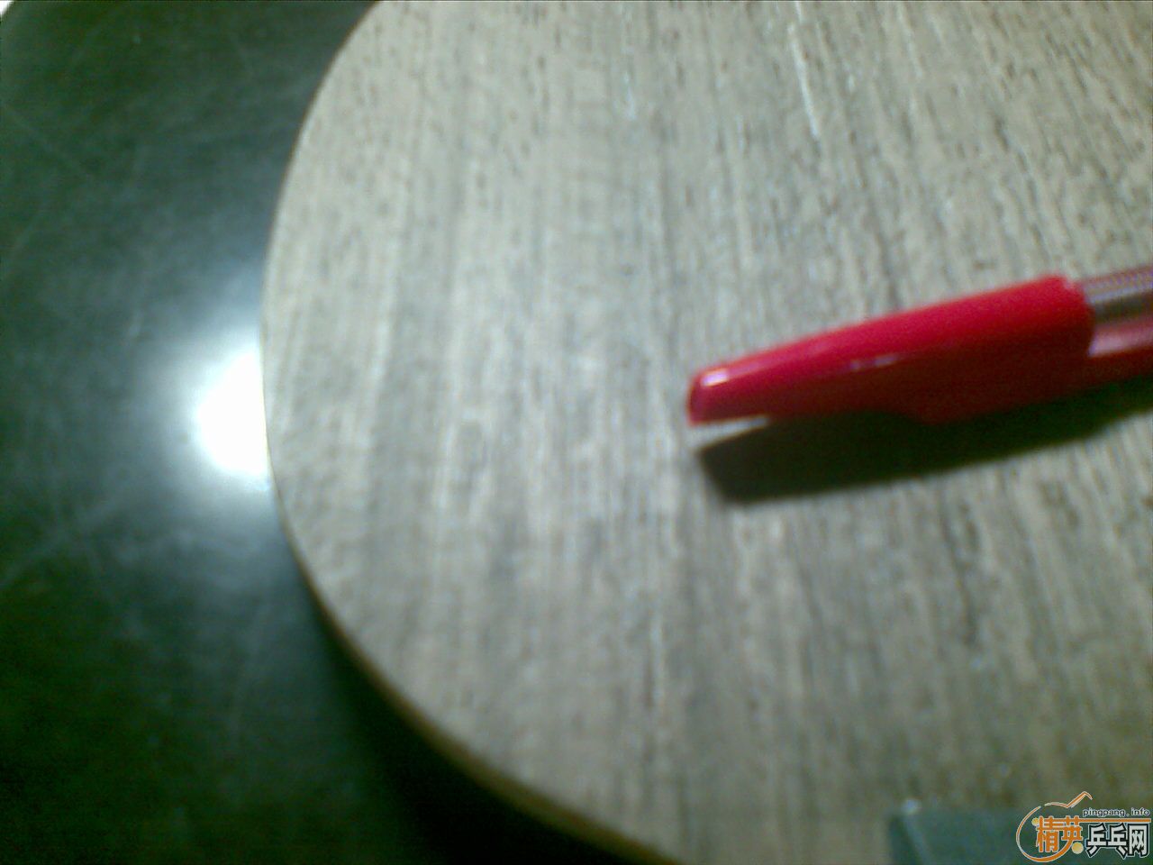 06ֱ����  һֻ,  560 ����