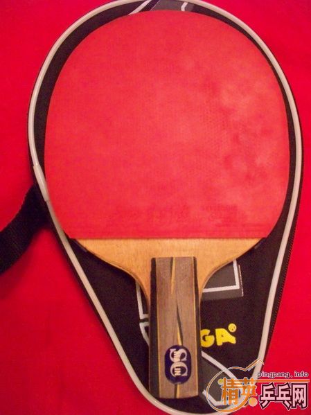 8���µ���������̼