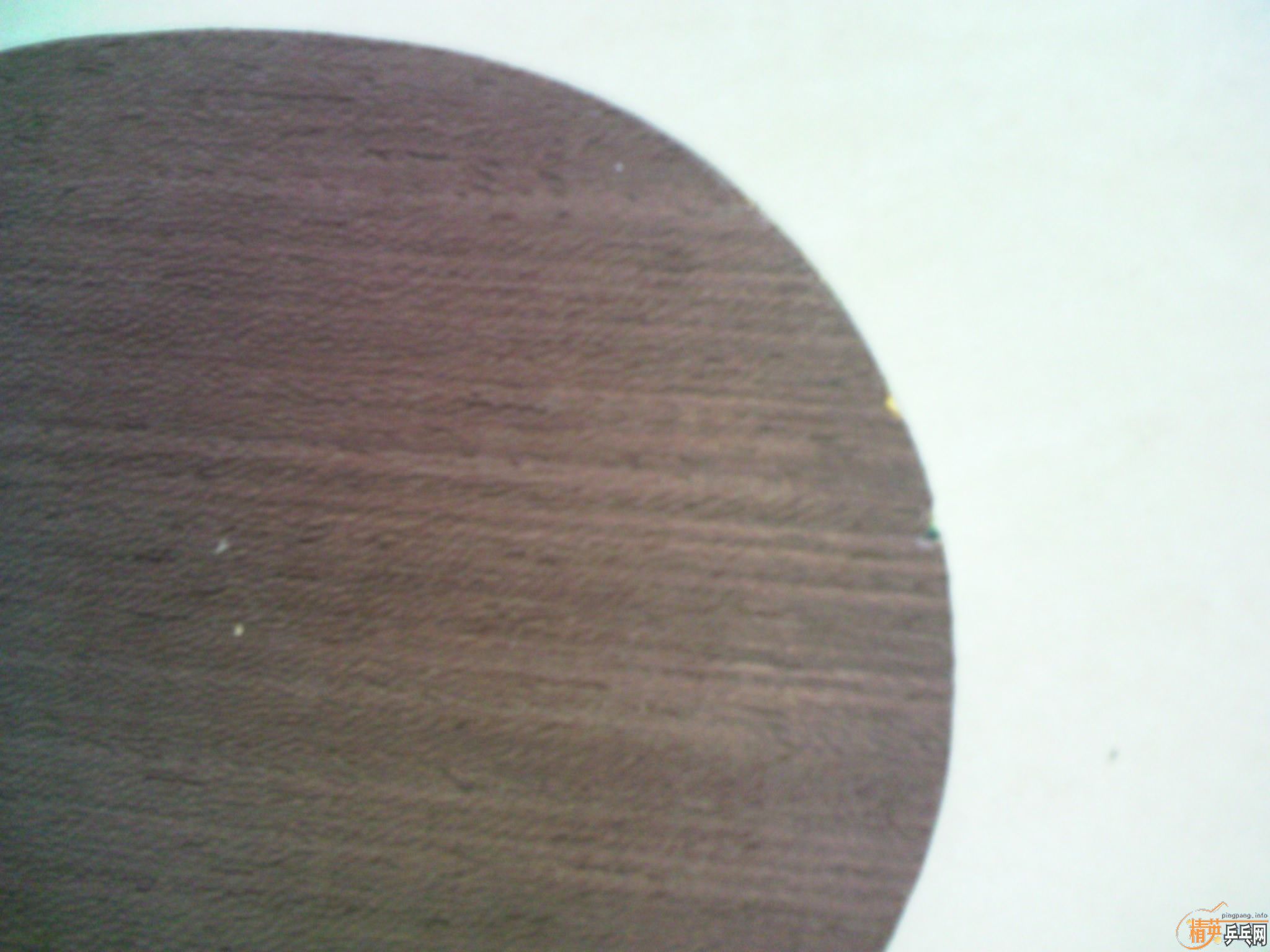 30귢-->yanxin270ת