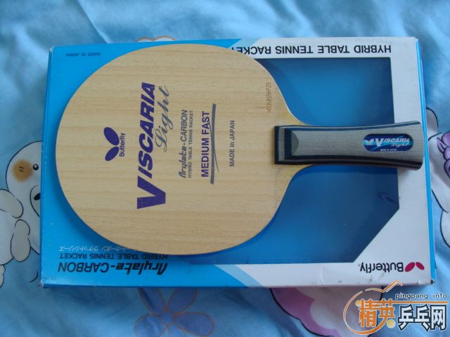 <��������>������һ��VIS Light ��׷�̼��