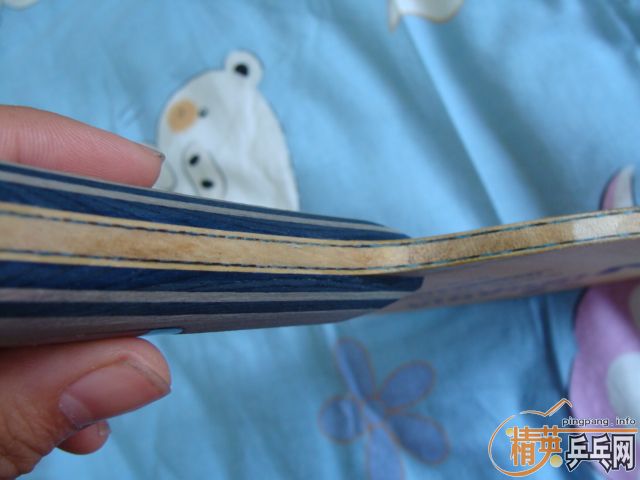 <��������>������һ��VIS Light ��׷�̼��