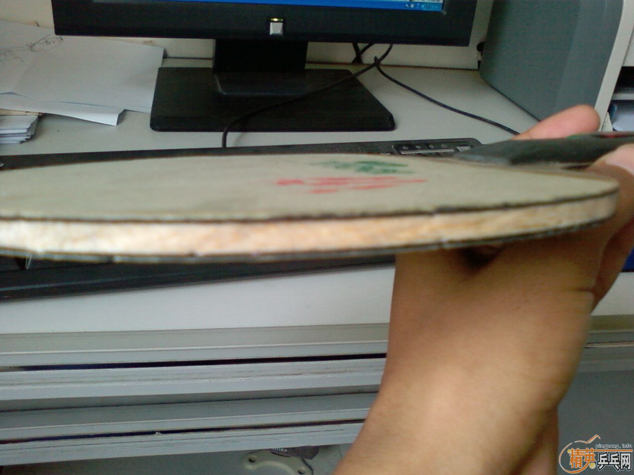 joola cat  ������è