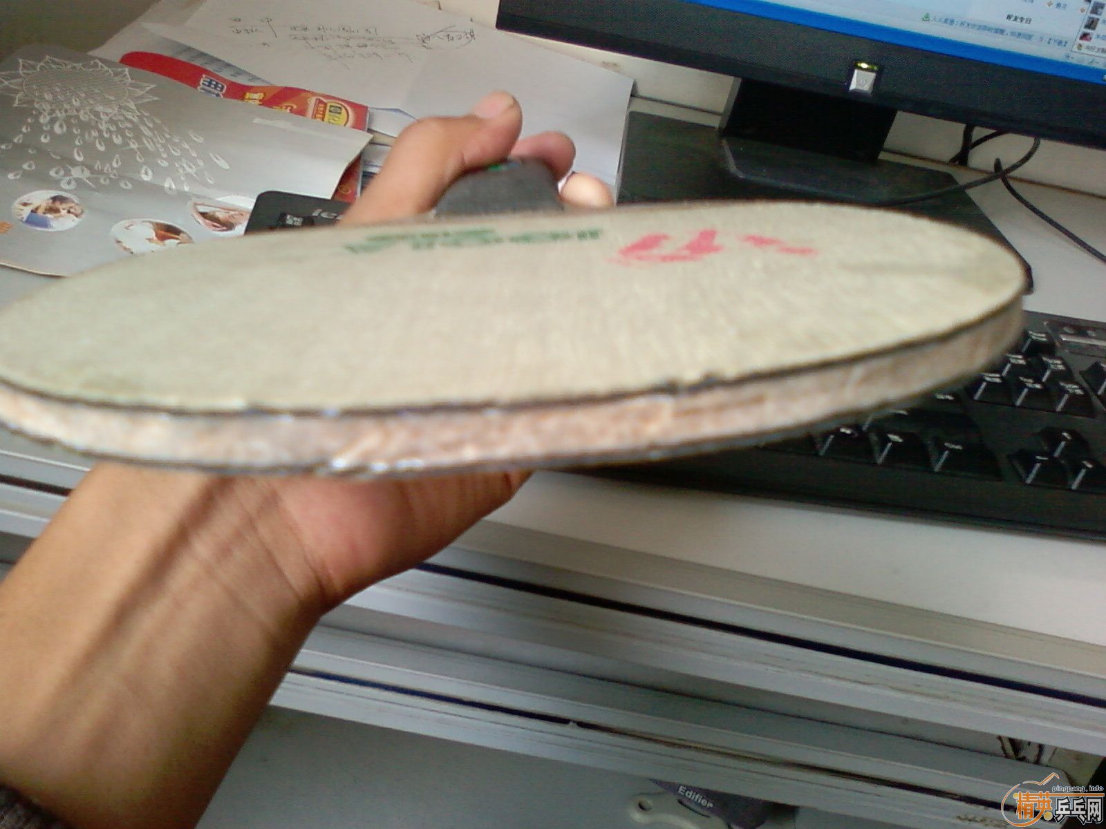 joola cat  ������è