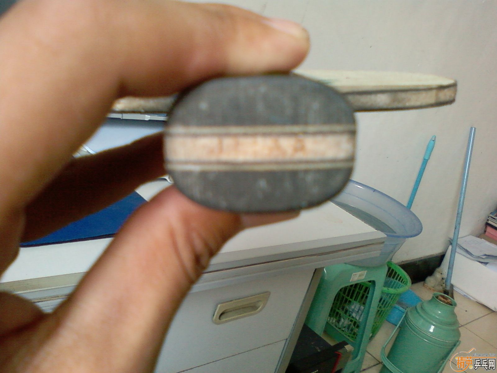 joola cat  ������è