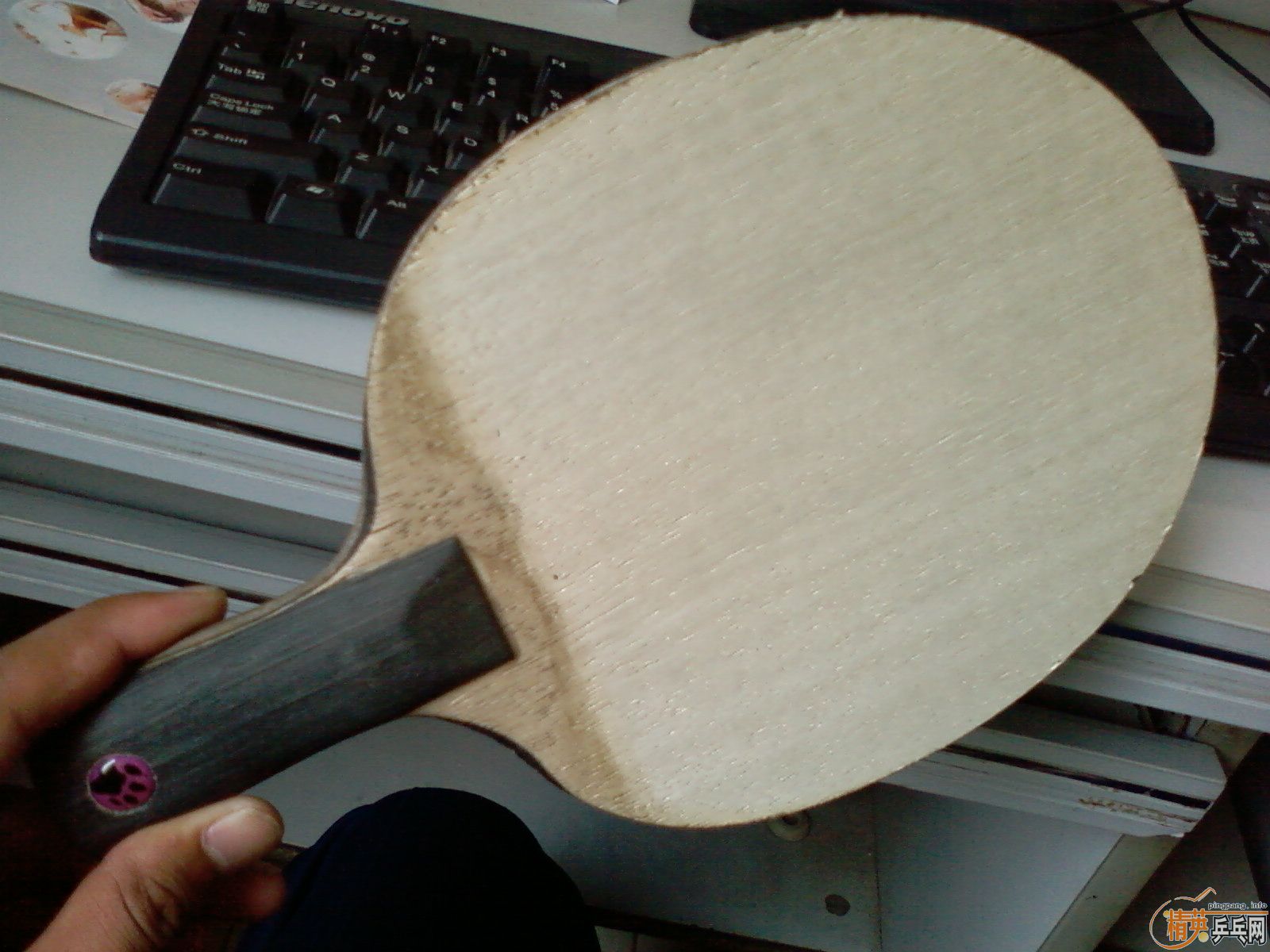 joola cat  ������è