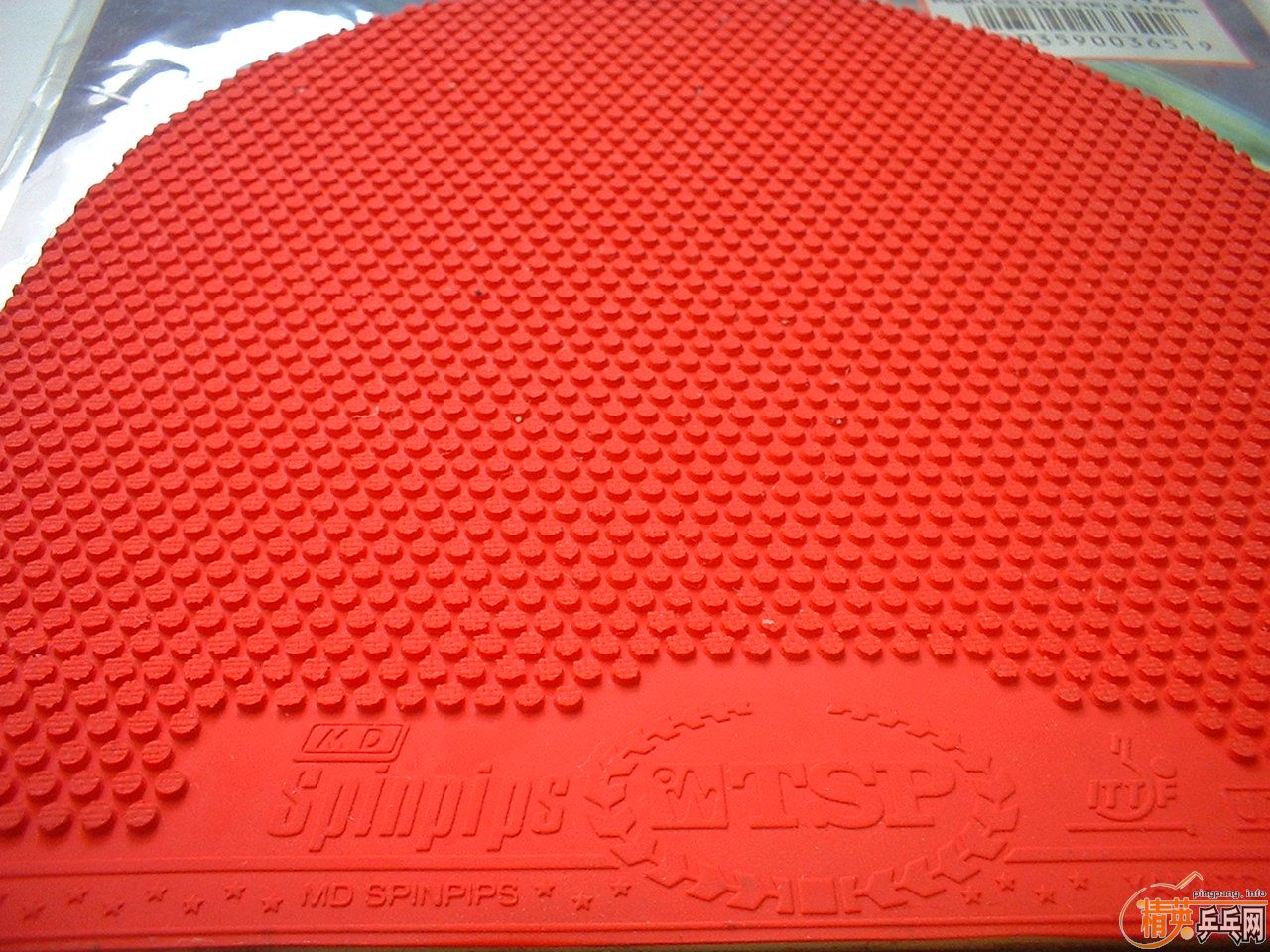 ����ɫ��TSP������ը��������