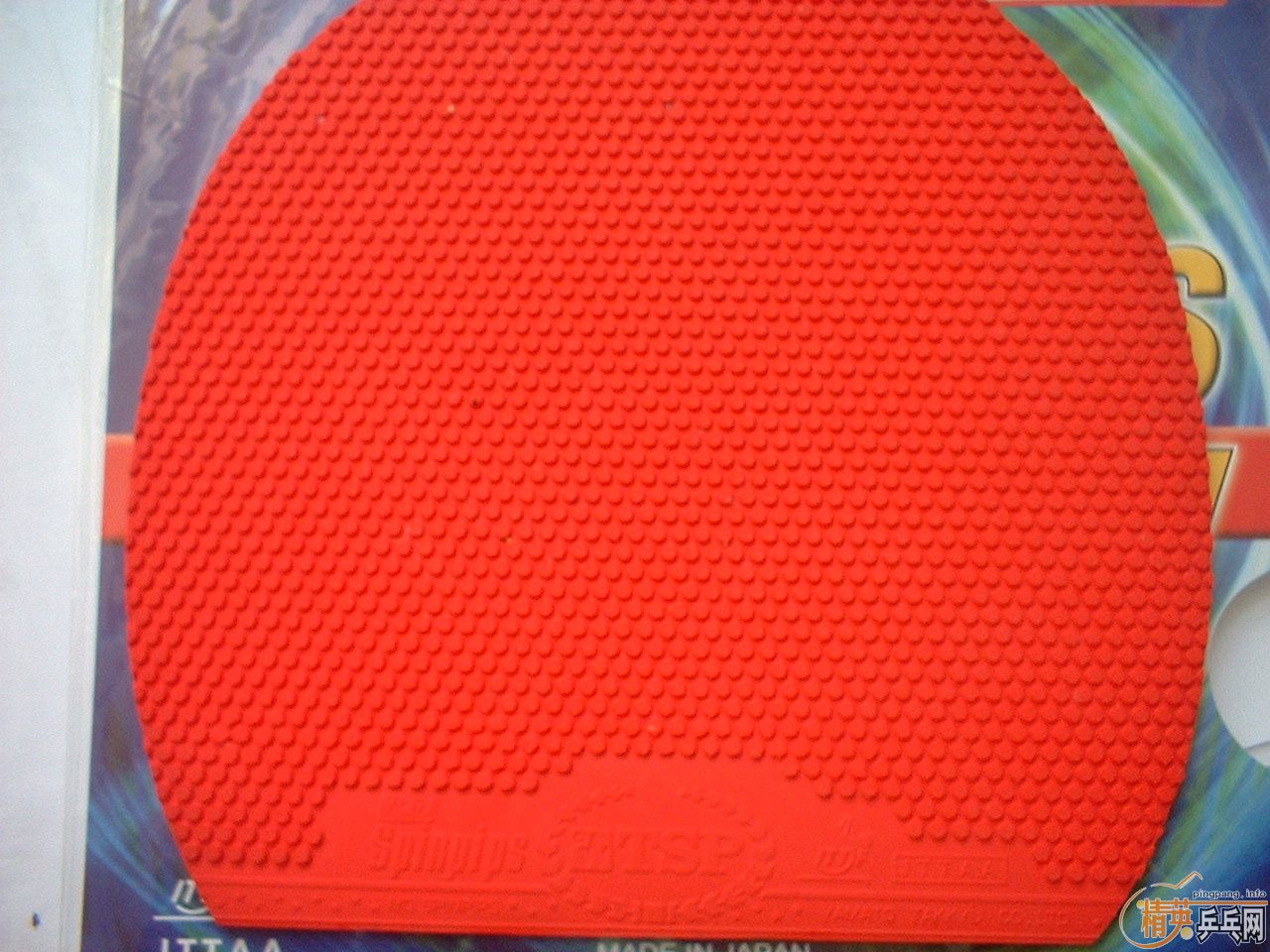 ����ɫ��TSP������ը��������