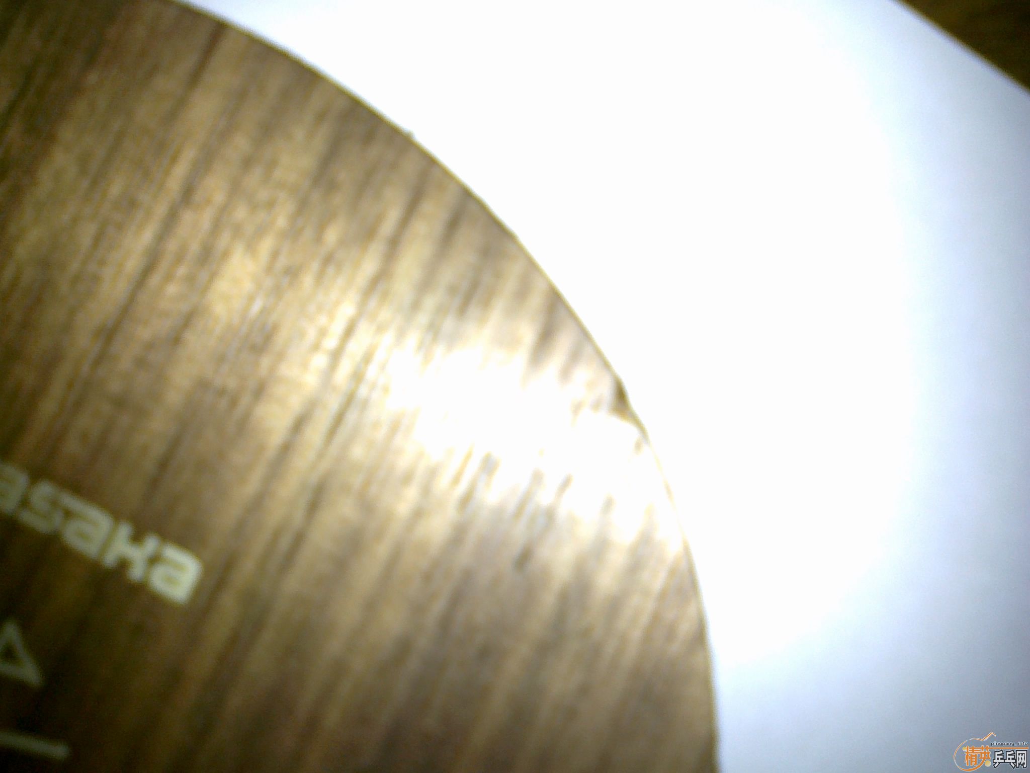 �ĺ����,��YEO