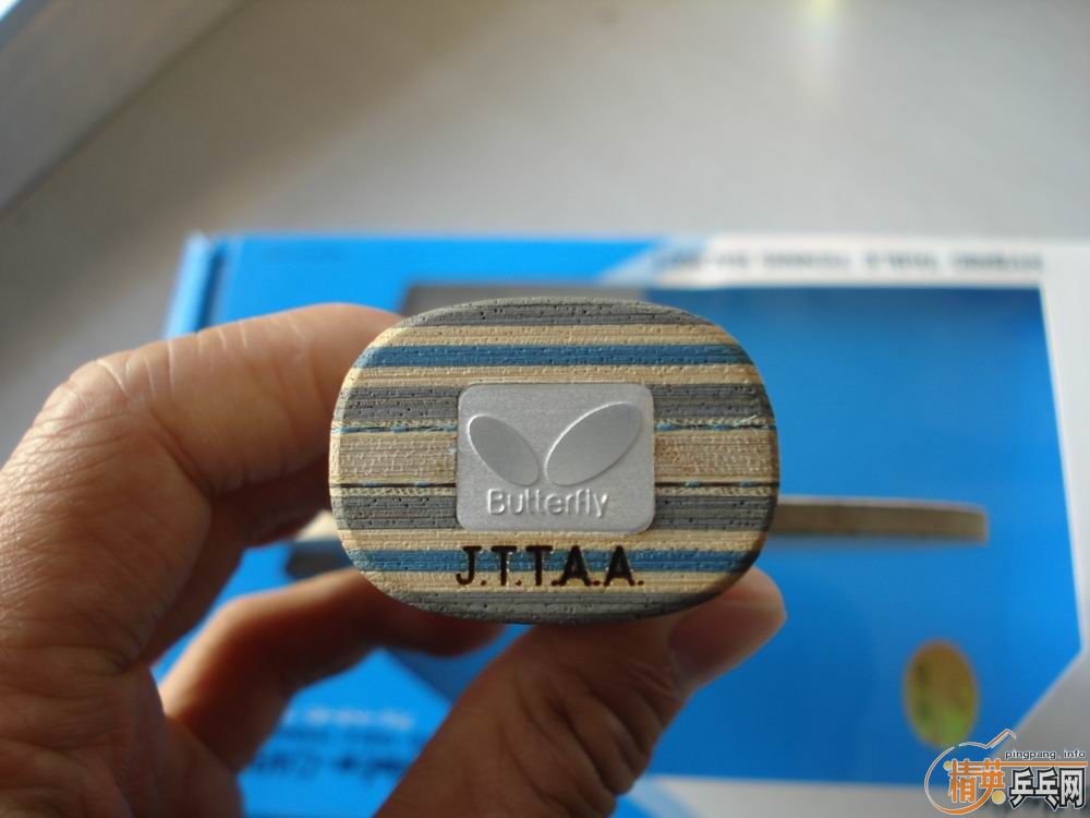 ֧�������л�VIS