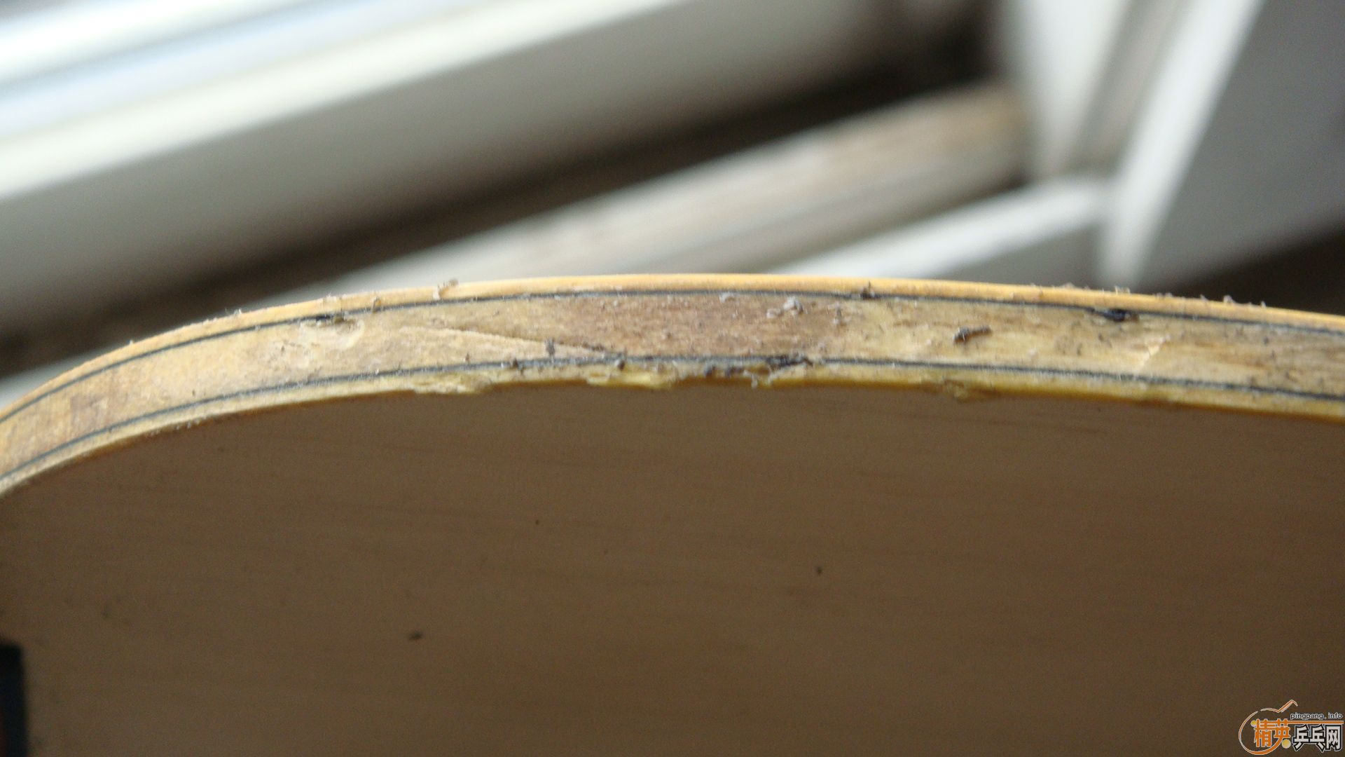 ��һ�����������ӣ�gegerly-21��st����250Ԫ��