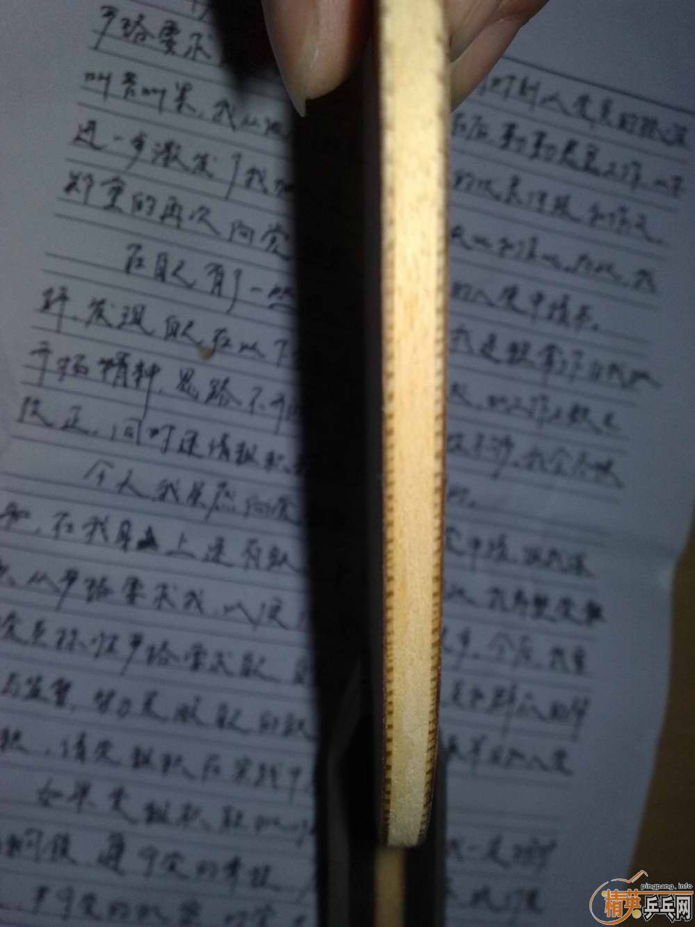 9.8лѡYEO