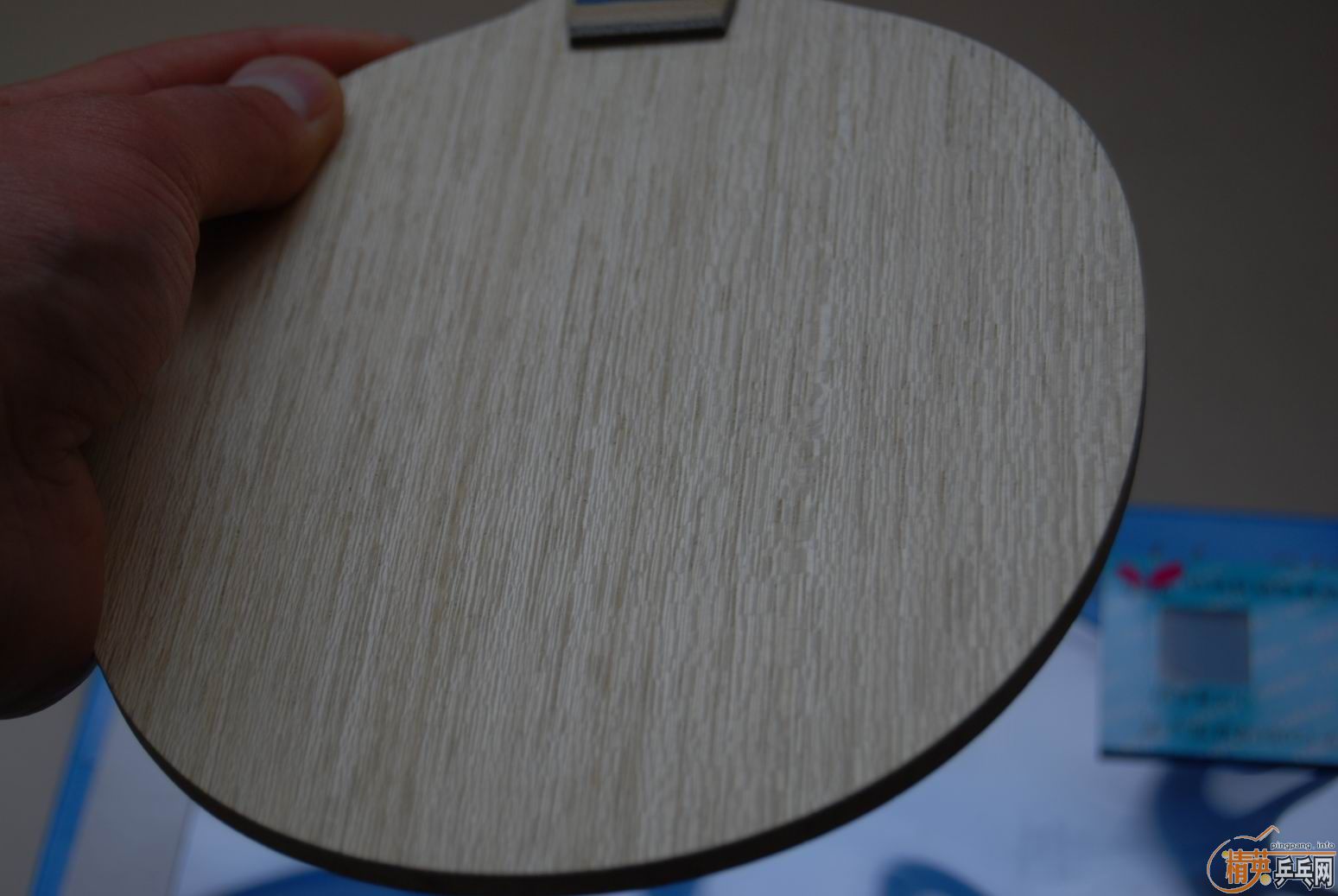 ���������˵�FLС����VIS���