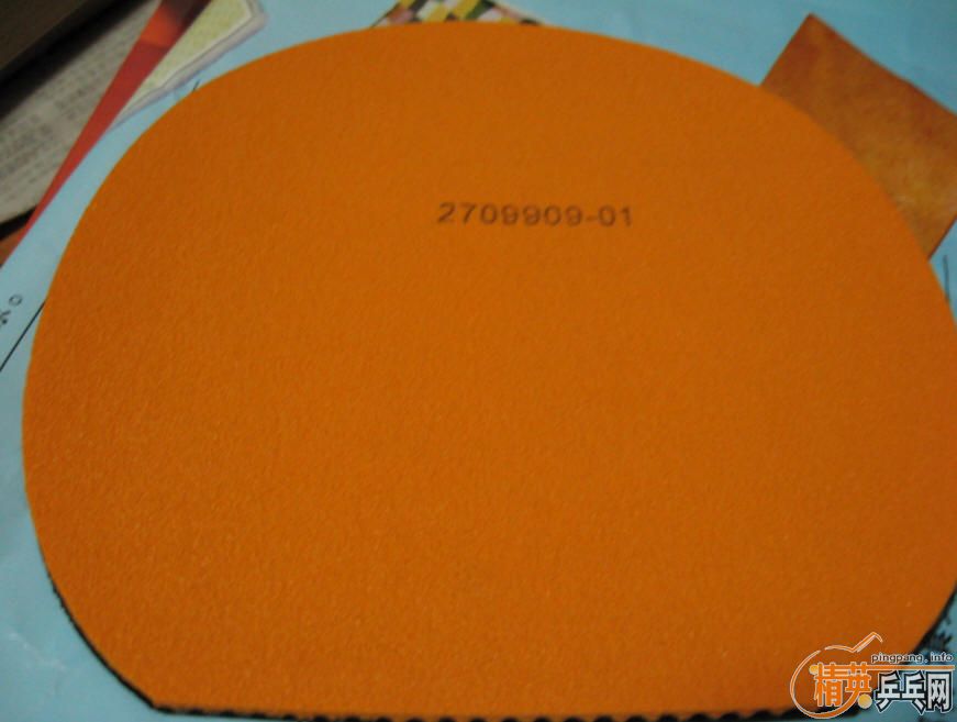Donic²ƷBaracuda150