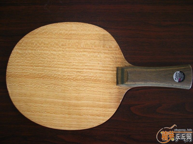 �������ޱ���-������-˫������� VIS  ֧��������