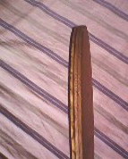 ���µó���C����