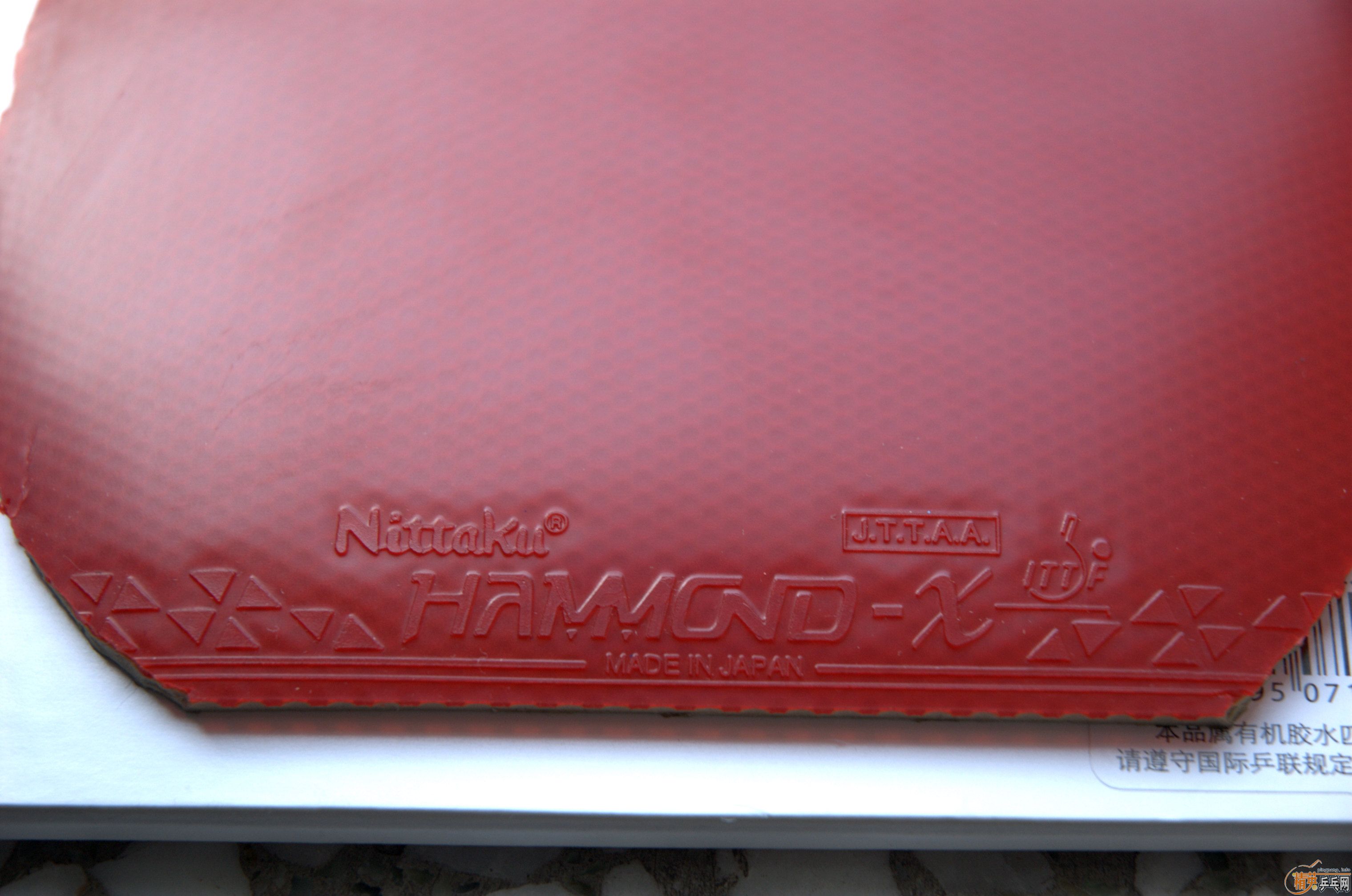 ��������-���ɵ�-X