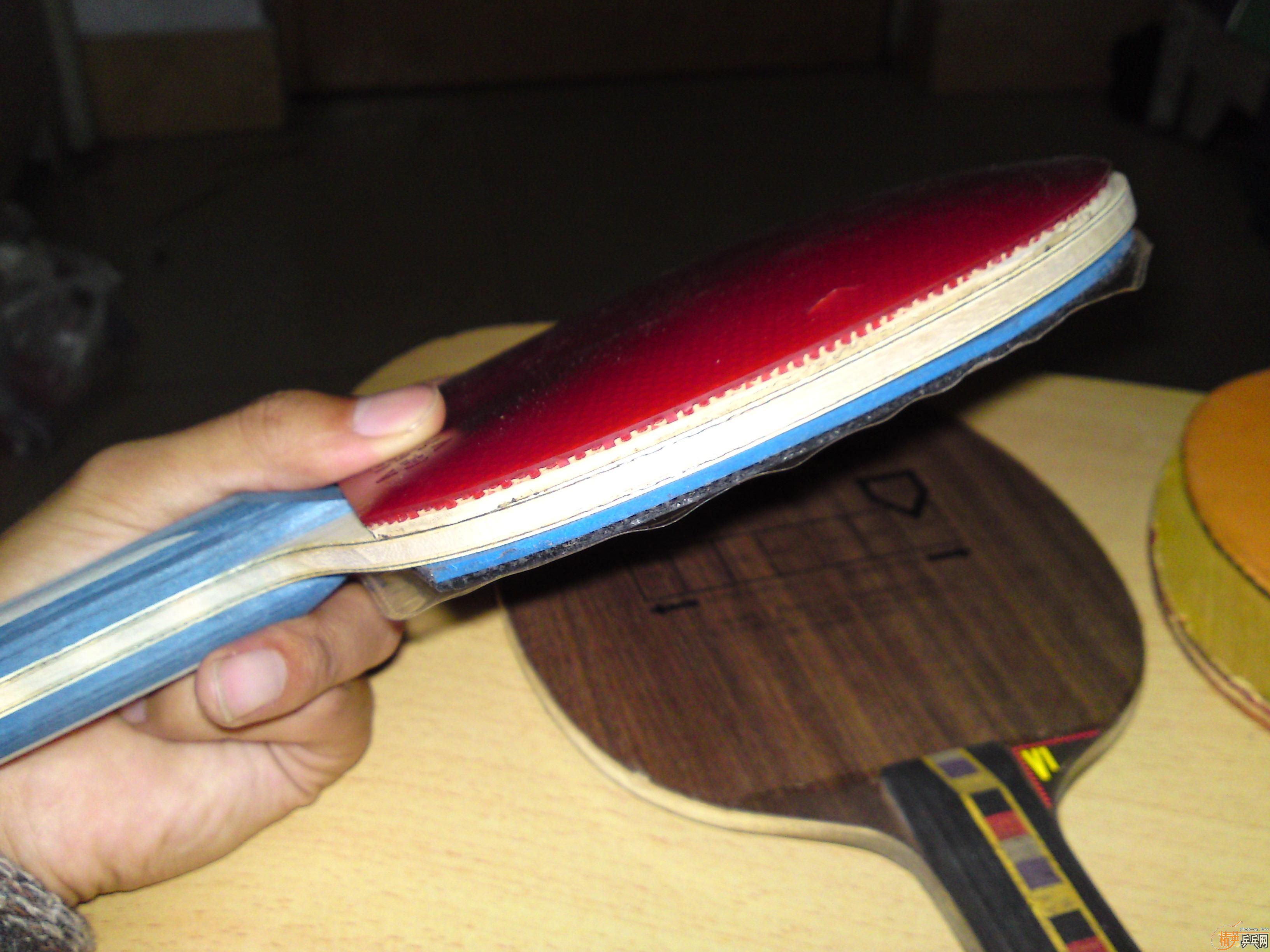 [��ͼ]С���½�st������zlc�Լ���ǡ��cl ��������zlc�������