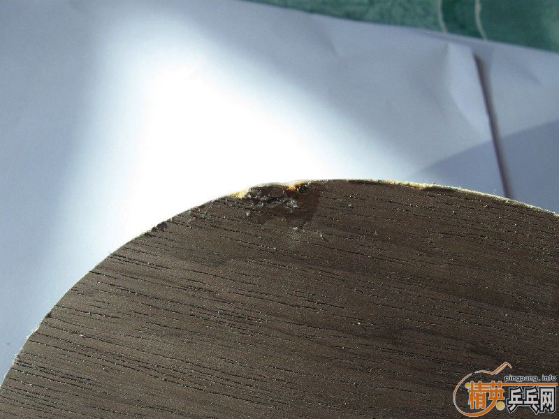 [ԭ��]��������ST��壬�� ���Ϻ�ں�Nittaku ANV WL