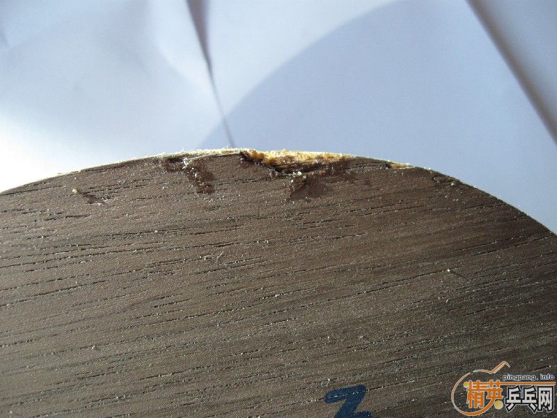 [ԭ��]��������ST��壬�� ���Ϻ�ں�Nittaku ANV WL