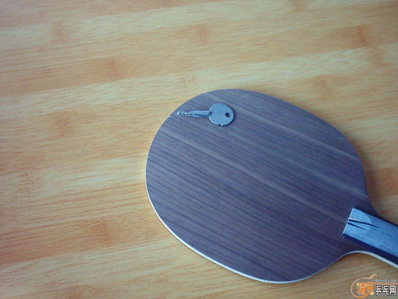 �հ�--------------YEO