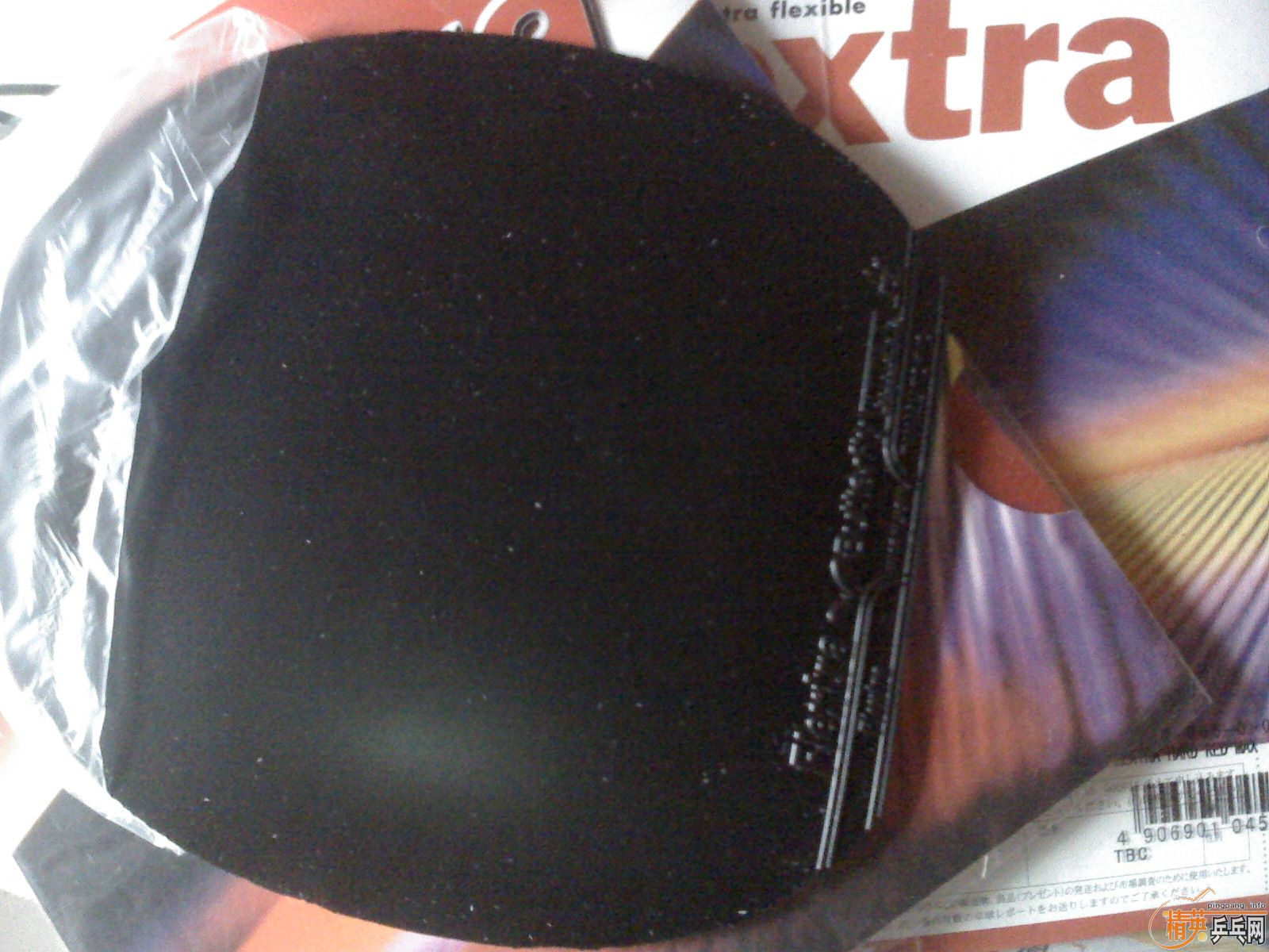 ������ͦ������