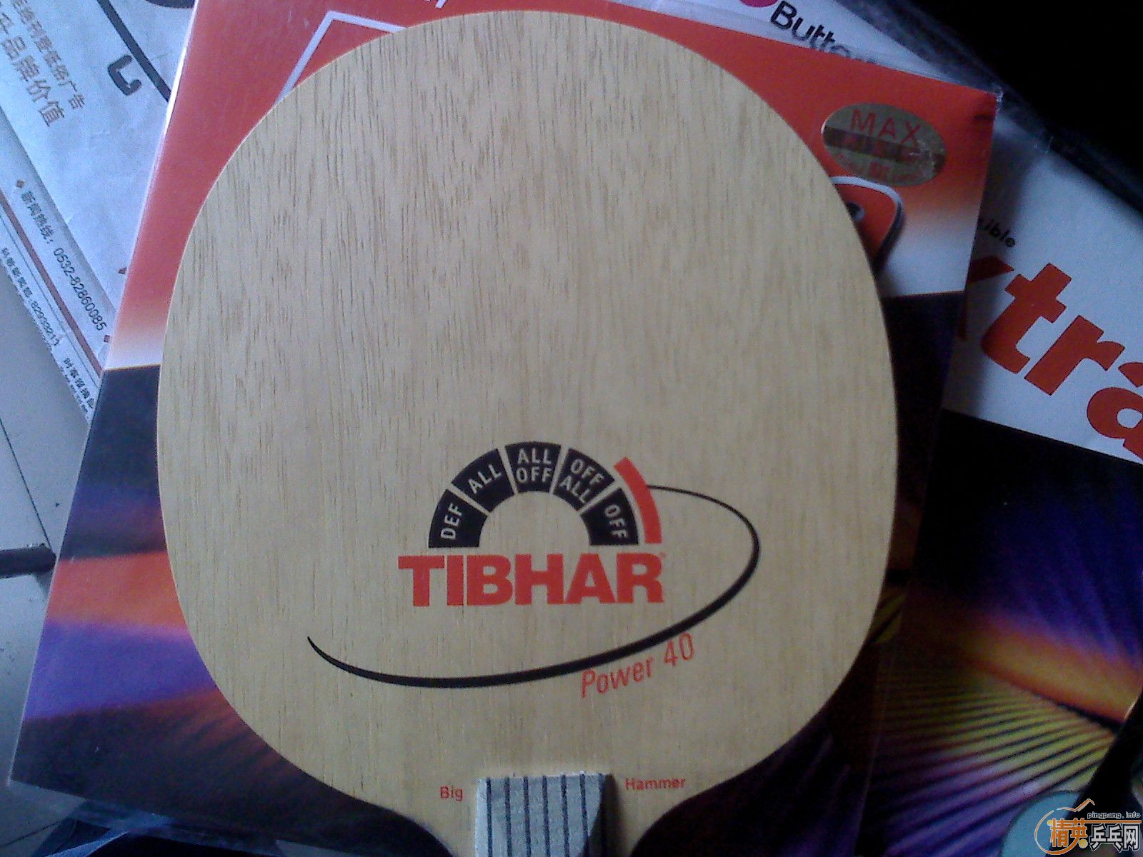 ������ͦ������