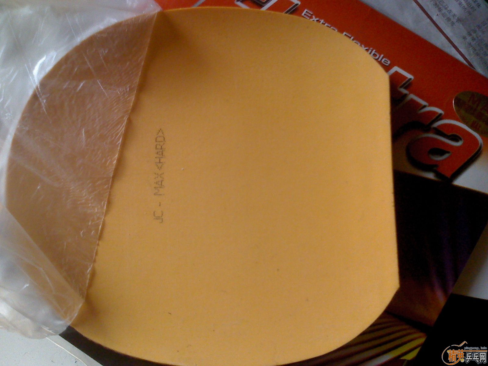 ������ͦ������