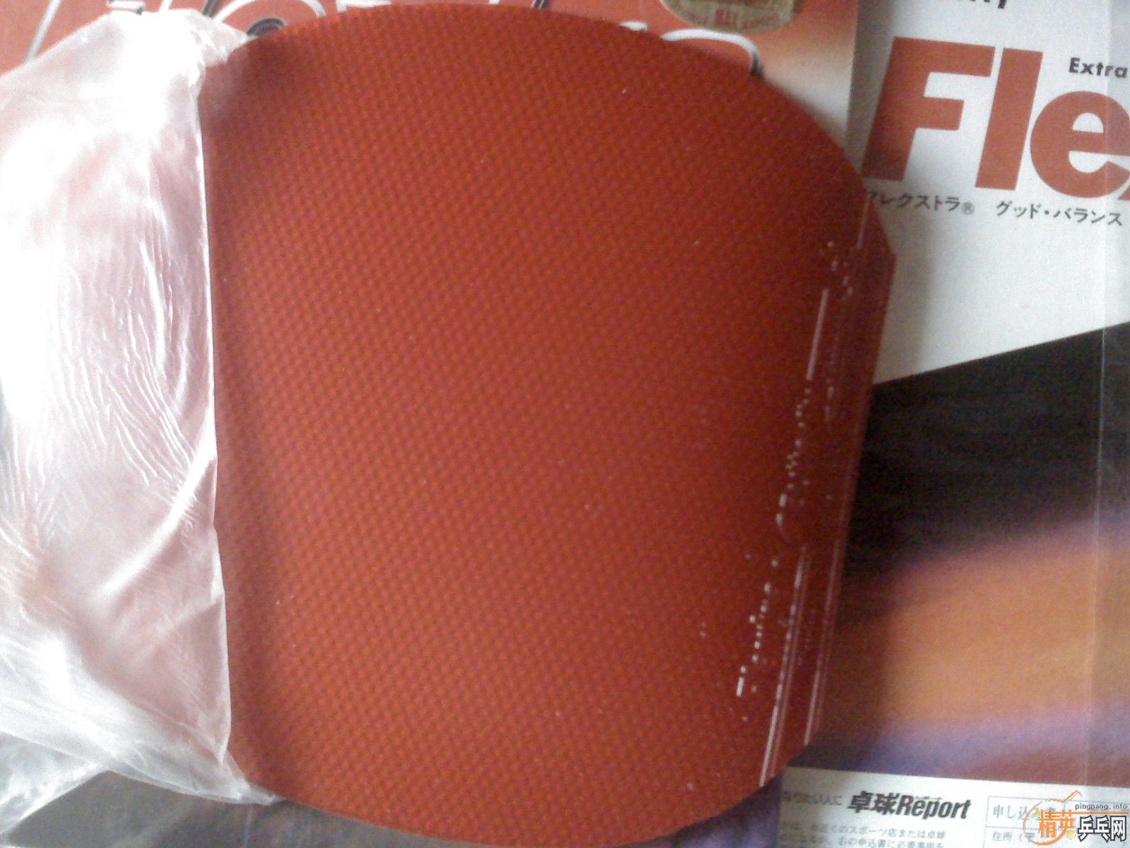 ������ͦ������