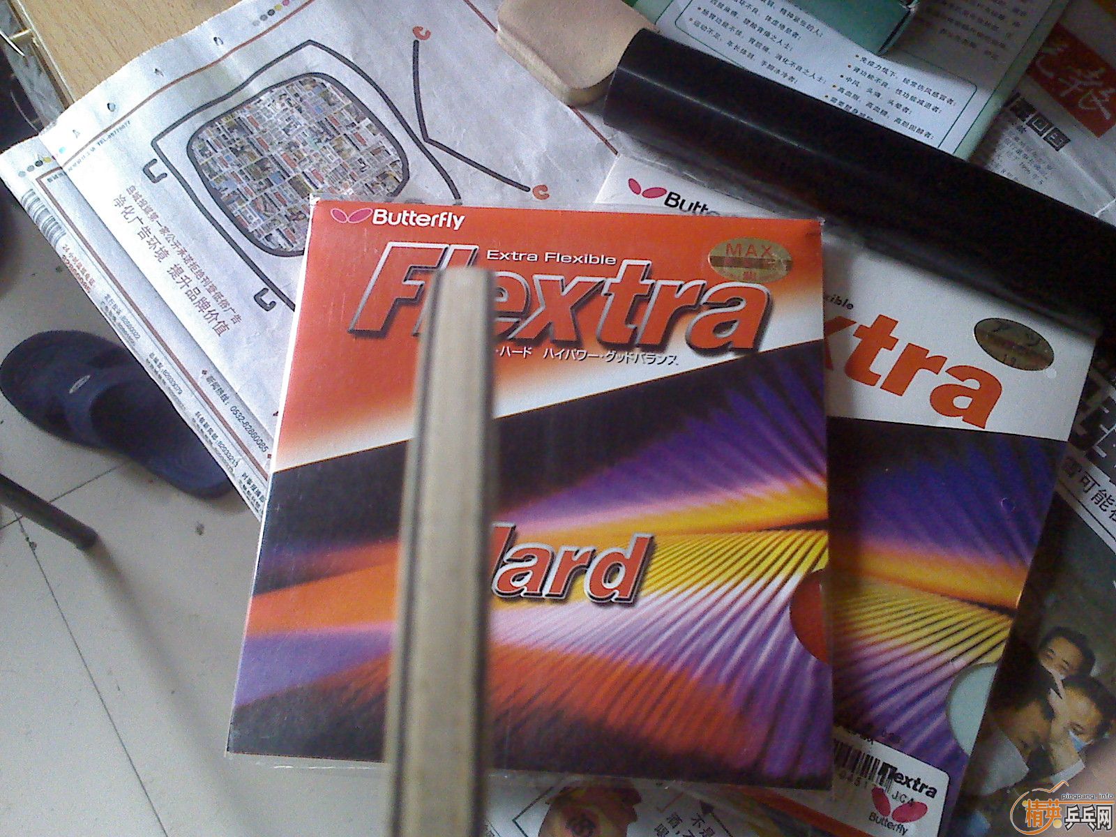 ������ͦ������